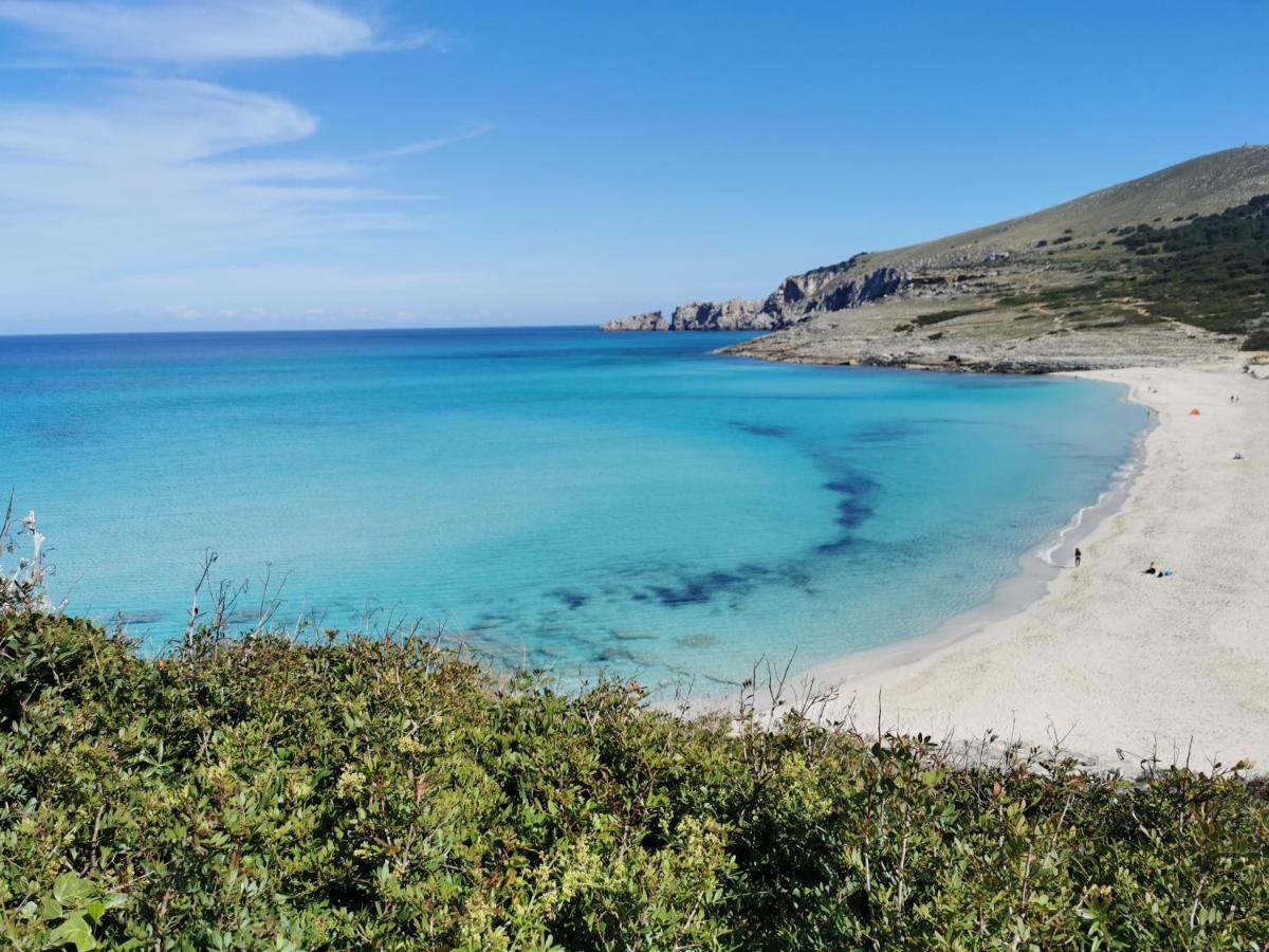 Cala Mesquida Lägenhet Cala Mesquida  Exteriör bild